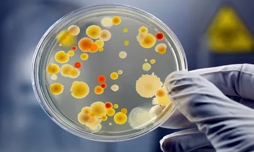 قیمت خرید تجهیزات میکروبشناسی